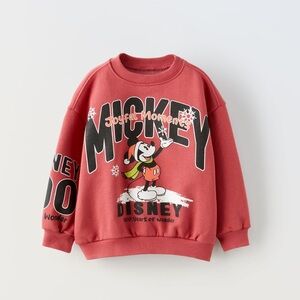 Zara Disney 100th anniversary Sweatshirt